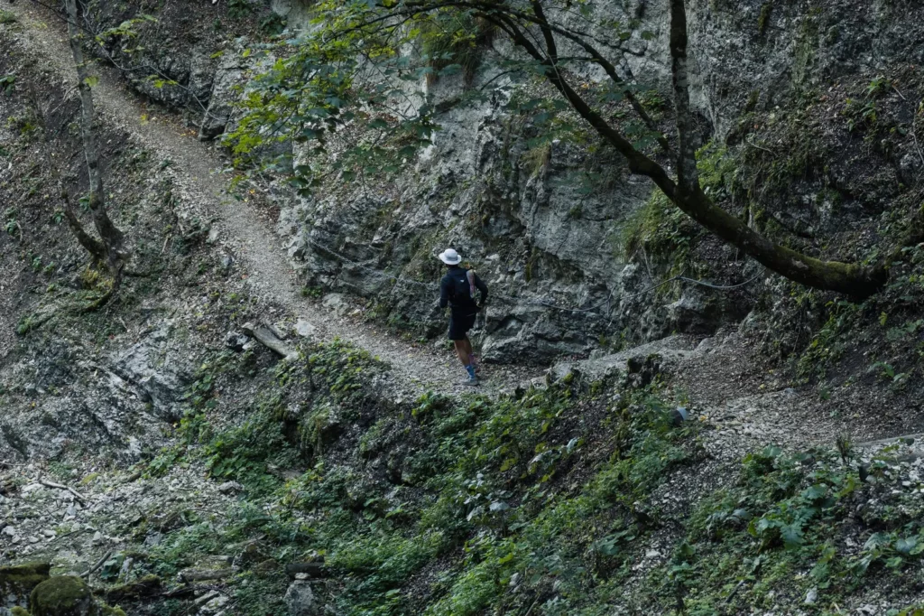 Combe-Grède, L'Essentielle