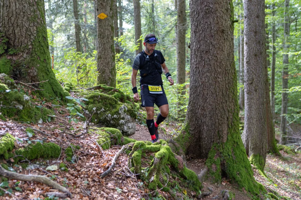 Im Wald, L'Essentielle