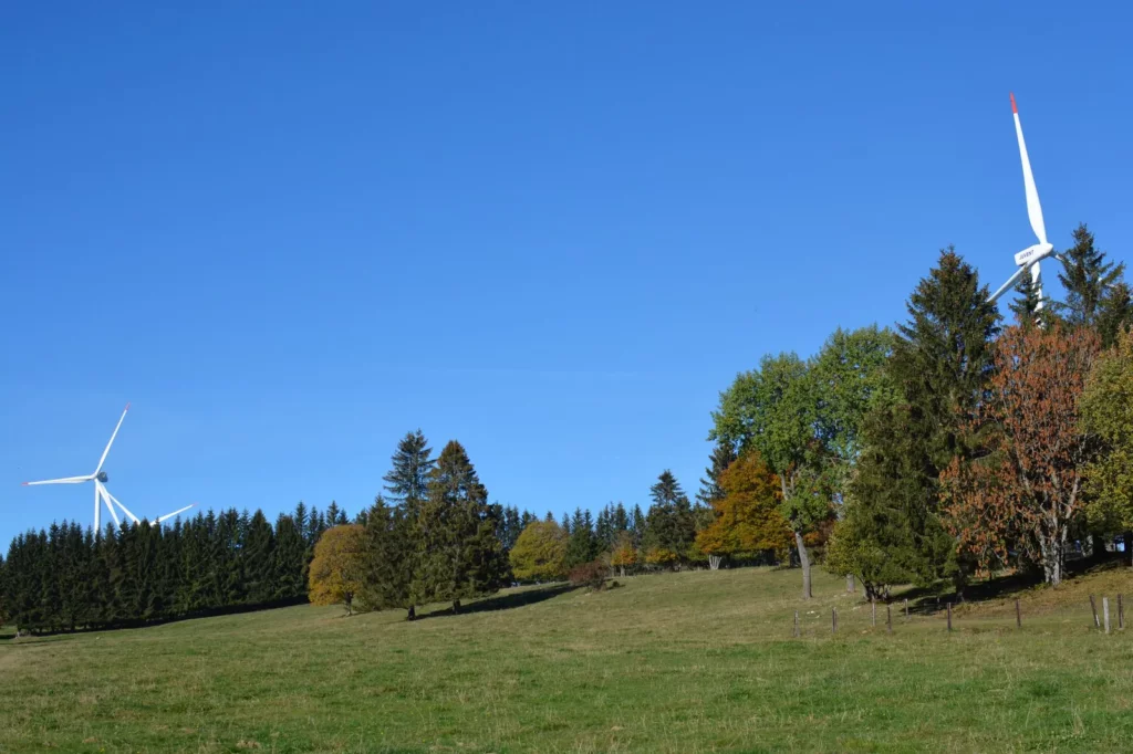 Die Weiden, La Découverte