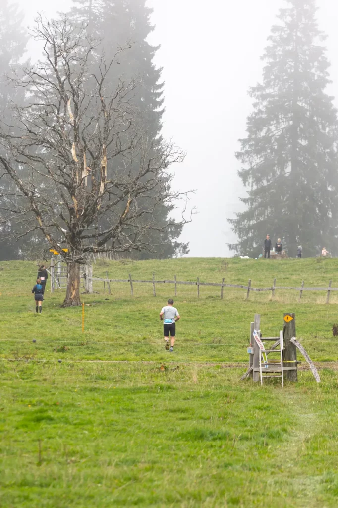 Dans le brouillard, La Traversée