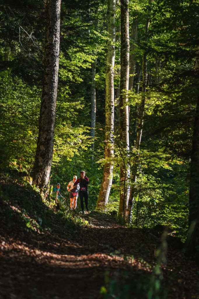 En forêt, La Grandiose